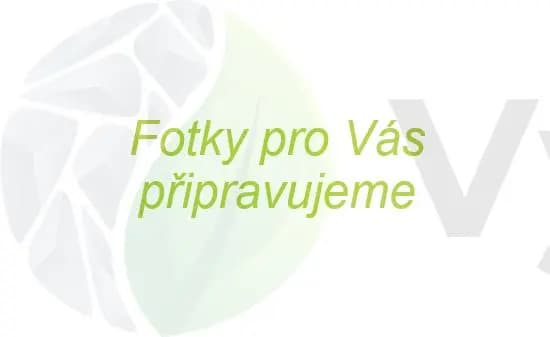 Žulový štípaný krajník - světle šedý, jemnozrnný